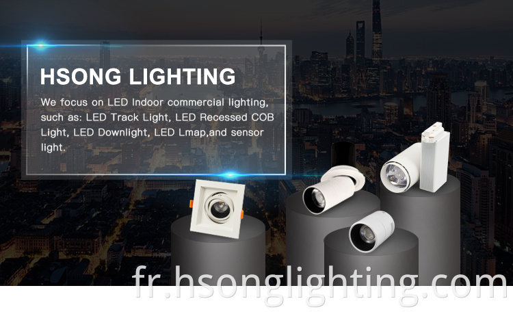 Nouveau design Lights LED Watt LED DALI ANTI LED LED COB 3/4 Phase d'éclairage de phase 12W pour la galerie d'art